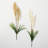 Darwen Grass Arrangement