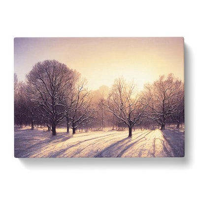 Fierce Winter Forest - Wrapped Canvas
