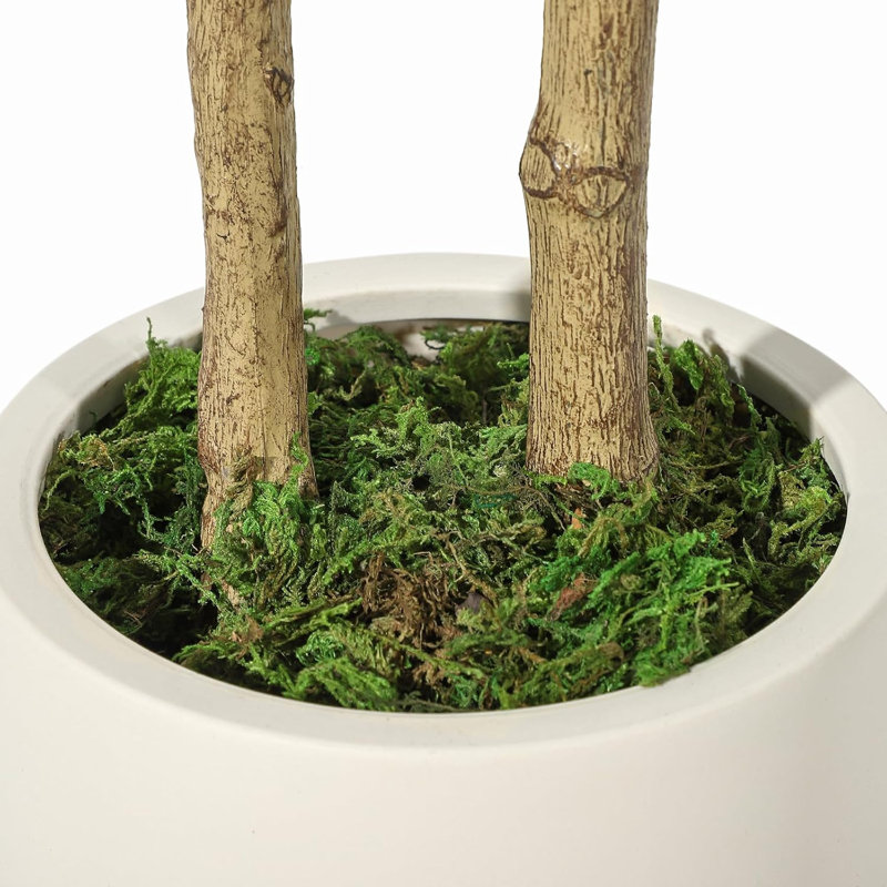 Ficus artificiel d'intérieur, grand ficus artificiel de 7 pi avec jardinière blanche et fausse mousse verte, plantes artificielles avec tronc en bois naturel et fruits réalistes pour la décoration de bureau personnel