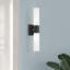 Cailum 2 Light Frosted Dimmable Vanity Light-2136842730
