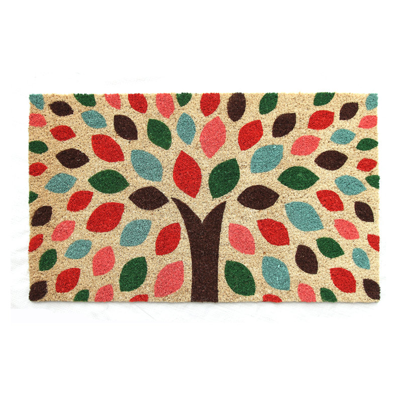 Haggins Non-Slip Indoor Doormat