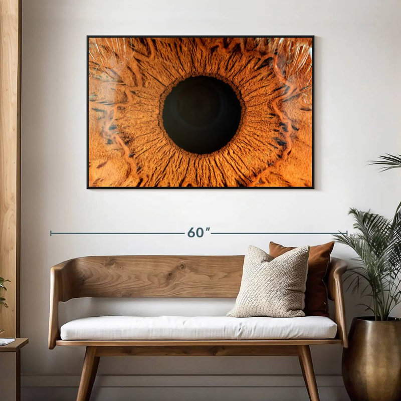 Œil humain magnifié, Cadre flottant noir, 46 po x 31 po