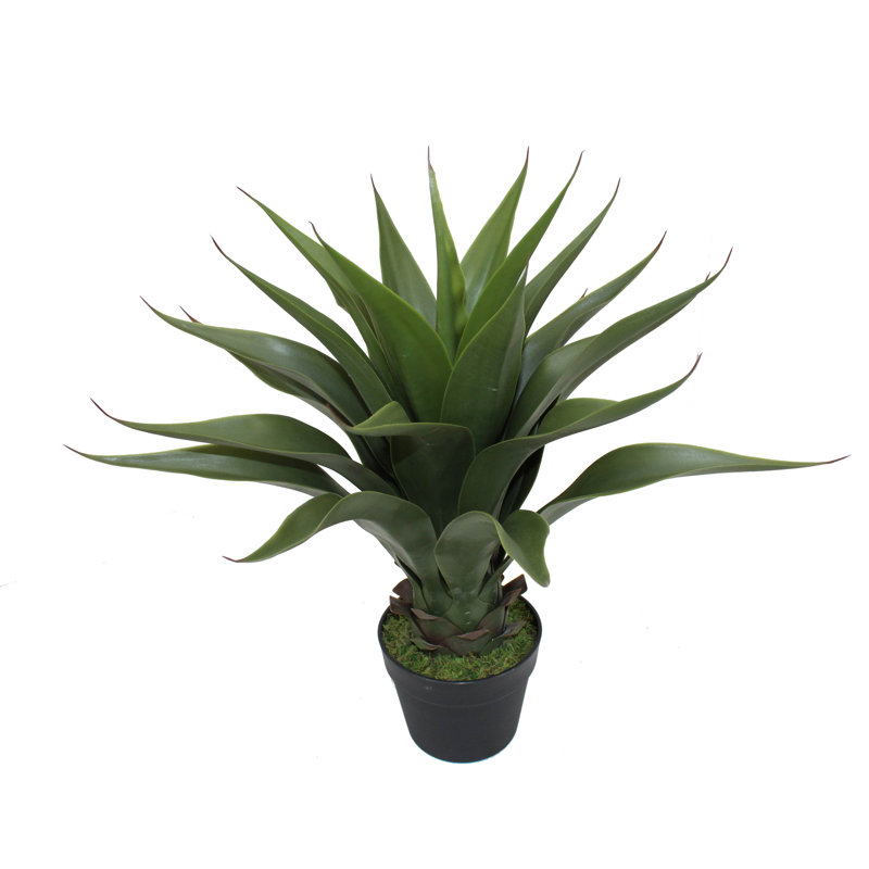 Agave artificielle Sansevieria en pot