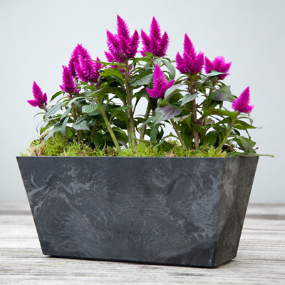 Wendover Window Box Planter