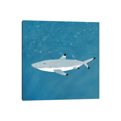 Black Tipped Reef Shark by Nic Squirrell - Wrapped Canvas Gallery-Wrapped Canvas Giclée