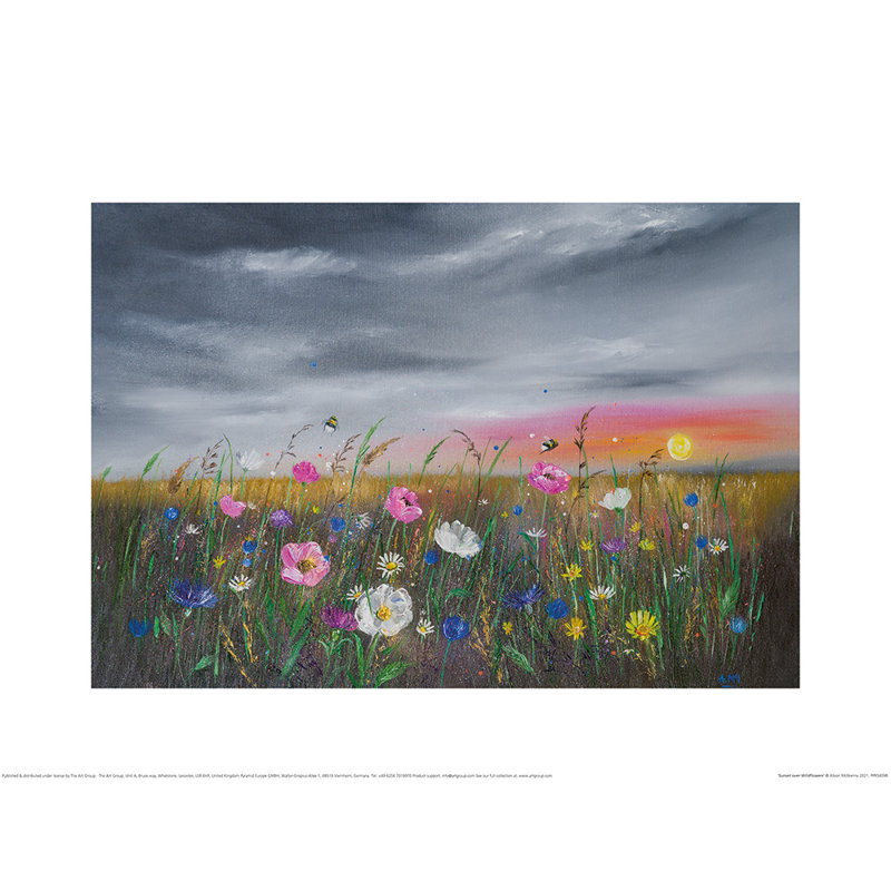 Sunset Over Wildflowers by Alison Mcilkenny - No Frame Painting, 30cm H x 40cm W x 0.1cm D