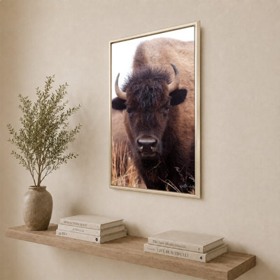 «American Bison IV» par Debra Van Swearingen - Impression sur toile