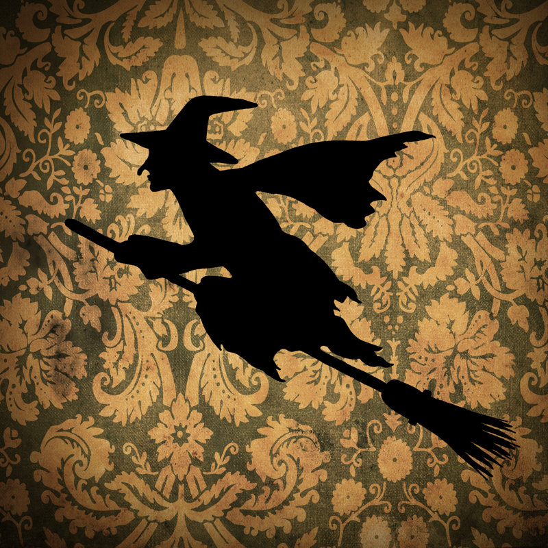 Witch And Damask - Wrapped Canvas Print, 91cm H x 91cm W x 3.8cm D