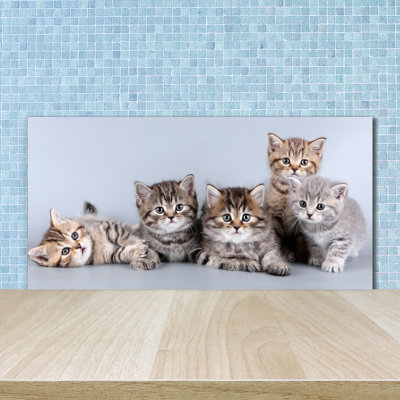 50cm W x 100cm L Glass Peel and Stick Panel