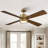 Camran 52'' Ceiling Fan with LED Lights