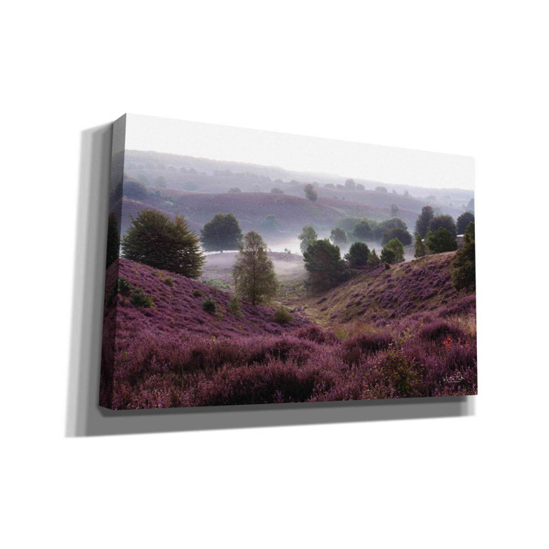 Oh Yeah by Martin Podt - Wrapped Canvas Photograph, 26" H x 40" W x 1.5" D