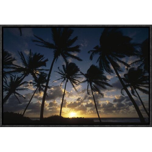 Bless international Coconut Palm Trees At Sunrise Framed On Canvas ...