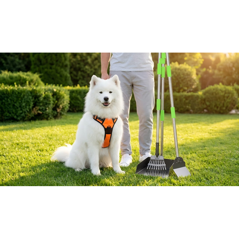 Très grand Pooper Scooper, ensemble de pelle à râtelier en métal robuste à longues poignées, pour les petits et les grands chiens
