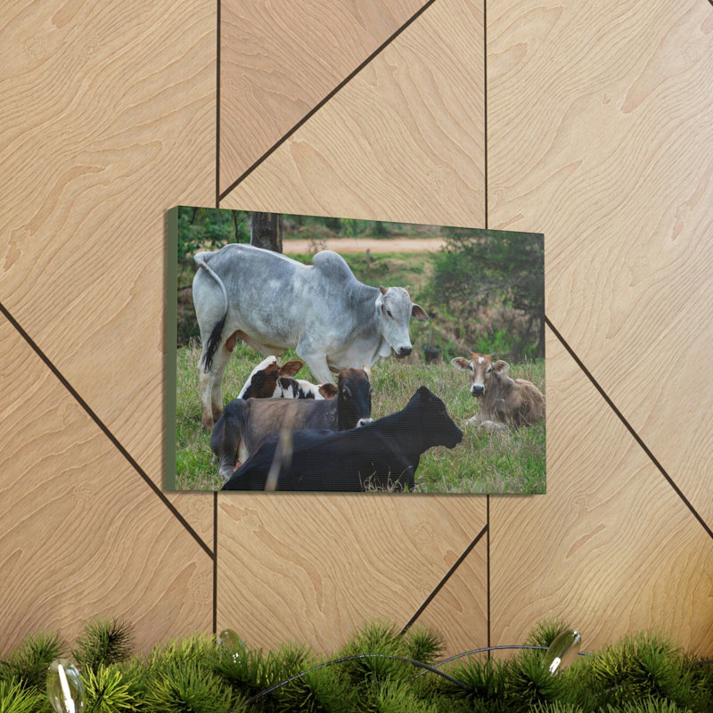«Zebu Group Zebu Troop Print», art mural, H 12 po x l 18 po