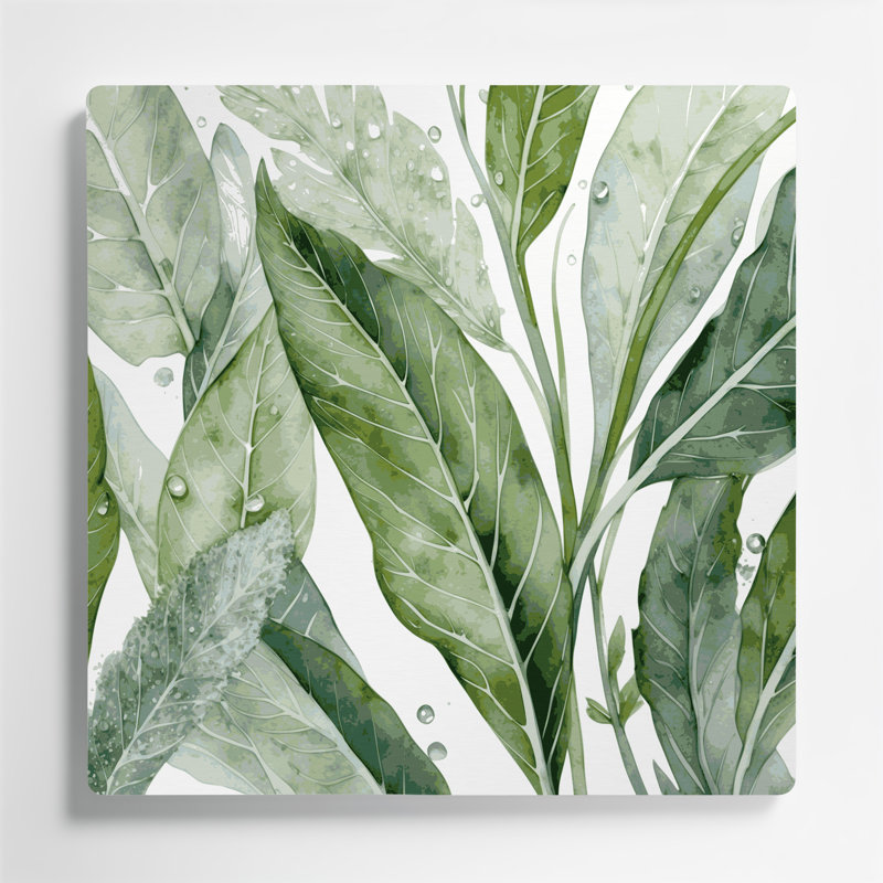 Art mural botanique vert sauge, H 12 po x l 12 po