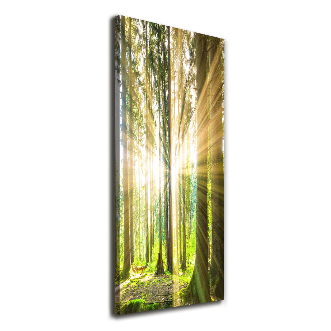 Sonne im Wald - Kunstdrucke auf Leinwand