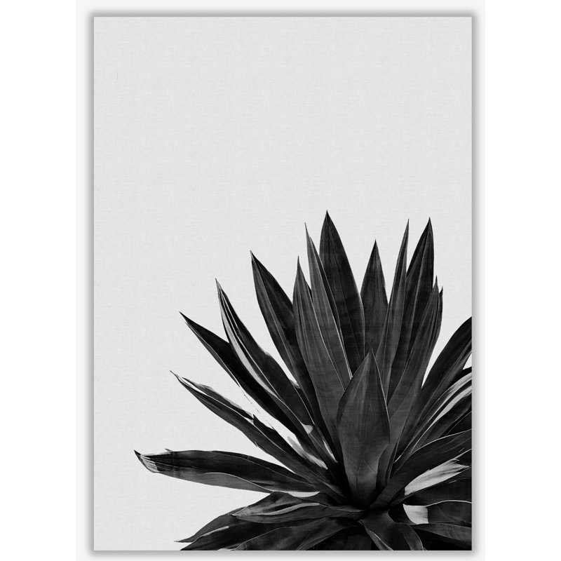 Agave Cactus - Single Picture Frame Print, 30 cm H x 21 cm W x 1 cm D, No Frame