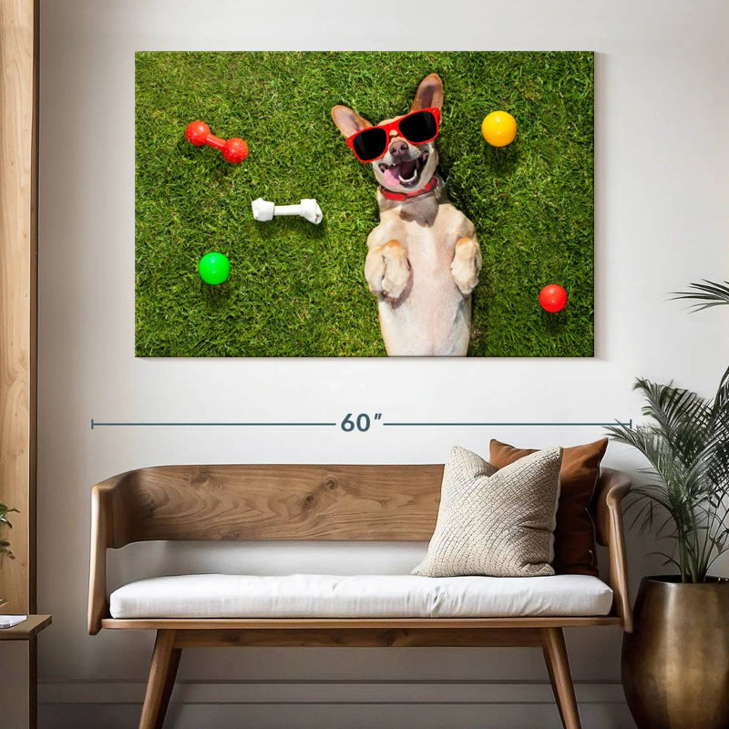 Ketti terrier chihuahua amusant, H 34 po x l 51 po
