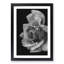 Rose Flower - Single Picture Frame Print on MDF-56864073-56864074