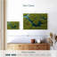 Alvord Lush Siargao Mangrove Forest-111833825