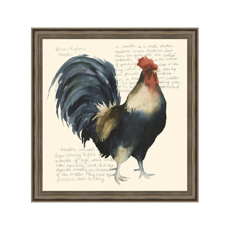 « coq crow i », impression encadrée