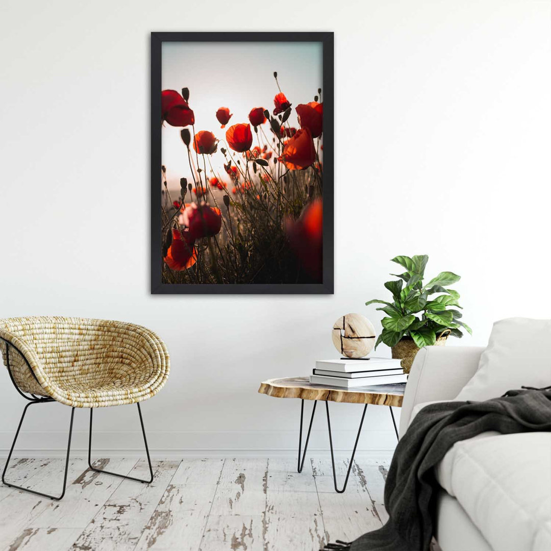 Gerahmtes Poster Poppies in the Sun