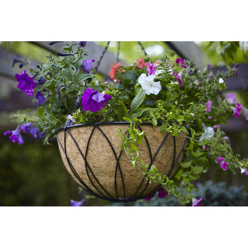 Caziyah Metal Plant Hanger
