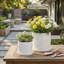 Handmade Ceramic Planter Set-1842653226