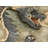 Skyelyn Indoor Rug