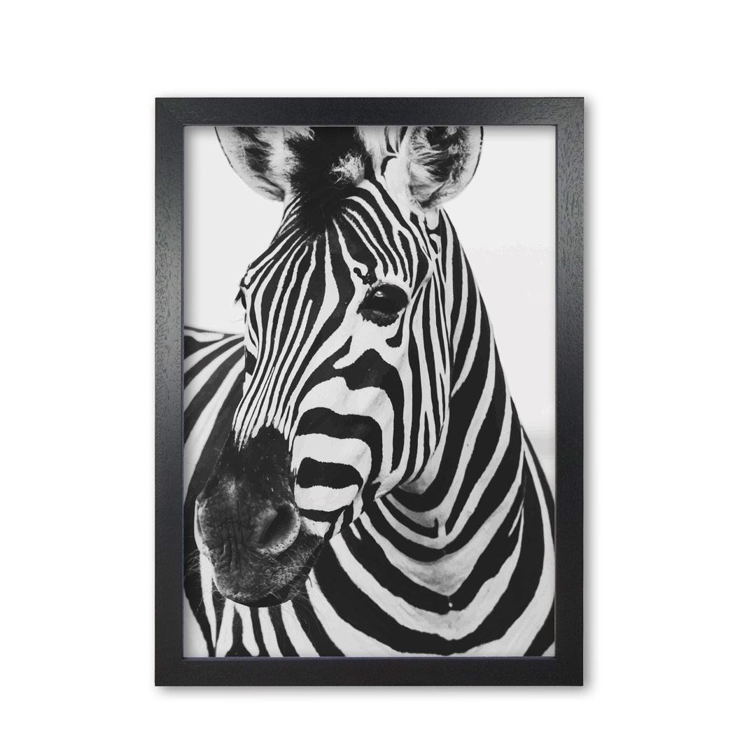 Zebra - Print