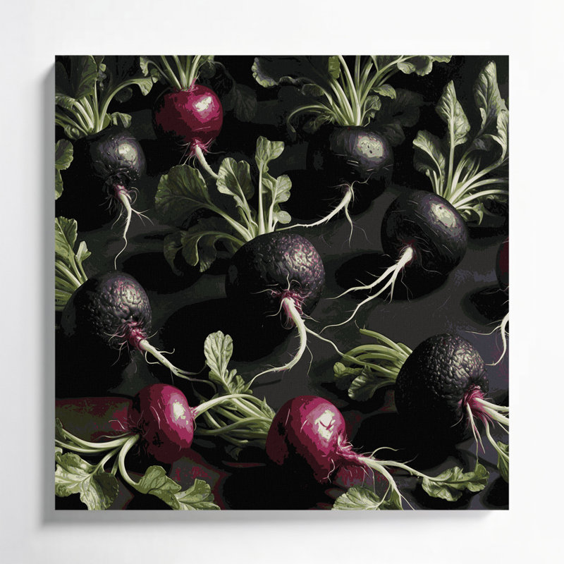 Légumes, radis, art mural noir sur toile, H 16 po x l 16 po
