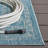 Lanny Performance Oriental Indoor/Outdoor Area Rug-16768741