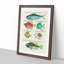 East Indies Fish & Crab Illustrations XXVI by Louis Renard - Picture Frame Painting Print-55547233-55547235
