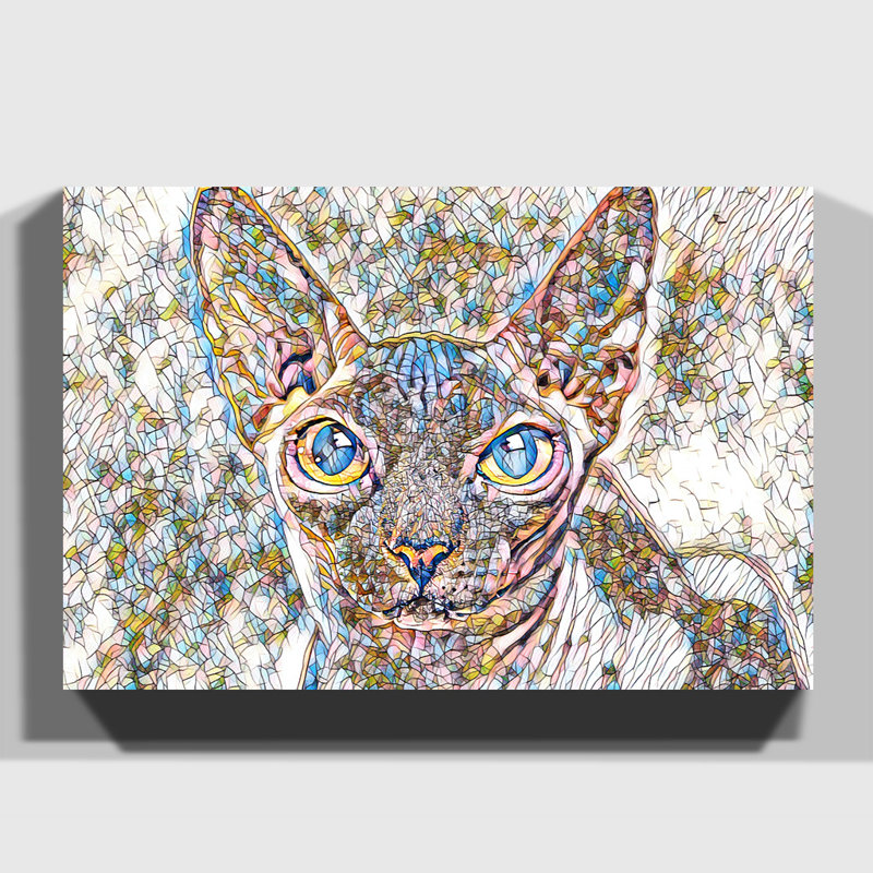 Sphynx Cat - Wrapped Canvas, 50cm H x 76cm W