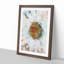 A White Daisy in Abstract - Framed Print-55629211-55629212