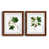 Maple Framed Paper is unavailable