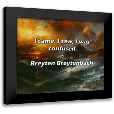 Breyten Breytenbach Quote: I came, I saw, I was confused.