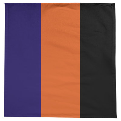 Denver Basketball Tablecloth