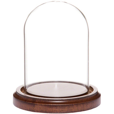 Cloche en verre 3 "x 4" Vucciria