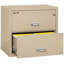 Fireproof 2 - Drawer File Cabinet-217202-331546