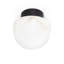 Parker 1 - Light Flush Mount-79008912