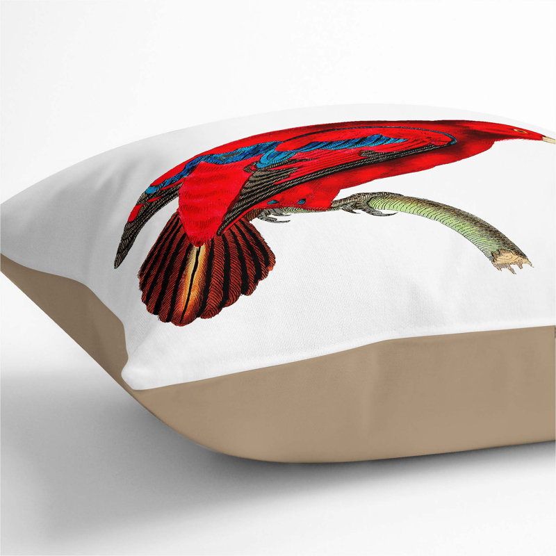 Blue-Tipped Lory Square Throw Cushion, Stone, 55cm H x 55cm W x 20cm D