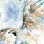 Hawk on blue, impression sur toile tendue-72691443-75092597-72691446