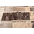 Tangier Ivory Rug 8'0" x 9'10"