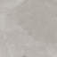 Essence Lumina gris poli-103830493