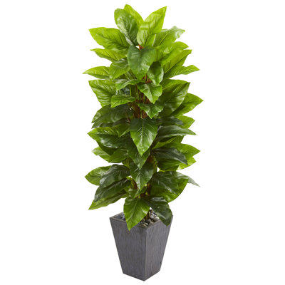 60'' Faux Philodendron Tree in Earthenware Planter