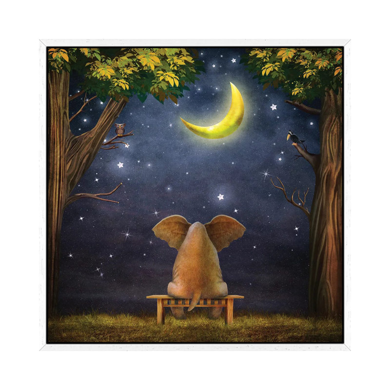 Elephant On A Bench In The Night Forest - Print on Canvas, 45.72 cm H x 45.72 cm W, White Framed