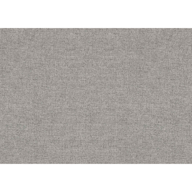 Chaise moderne, chaise rembourrée avec accoudoirs arrondis, chaise de lecture, Gris clair