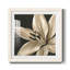 «Classical Blooms III», reproduction encadrée de qualité supérieure - prête à être accrochée-62719704-62719703