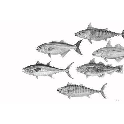 Variété de poisson II 2886533